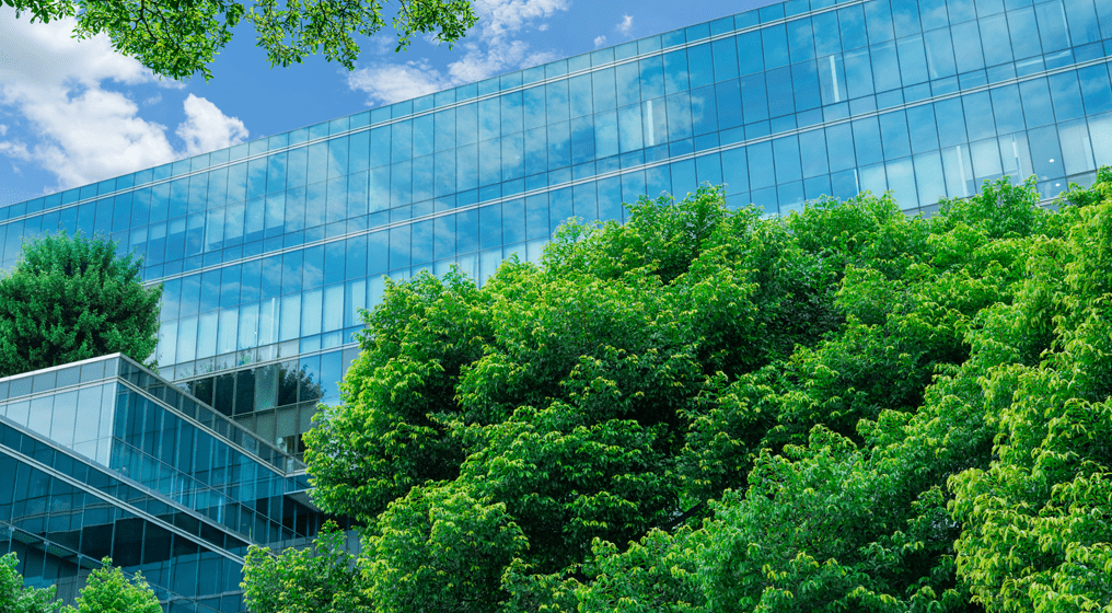 2026年秋日本板硝子のLow-Eは生まれ変わります