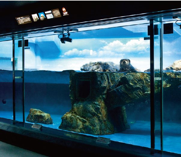 サンシャイン水族館（東京）